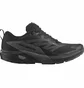 Кросівки чоловічі Salomon Sense Ride 5 Gtx Black 471472