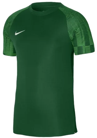 Футболка мужская Nike Jersey Dri-Fit Academy Green DH8031-302