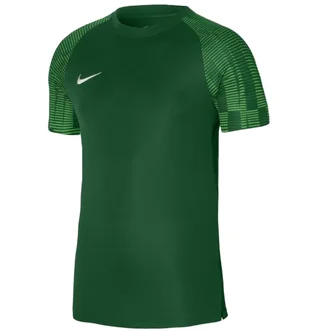 Футболка мужская Nike Jersey Dri-Fit Academy Green DH8031-302