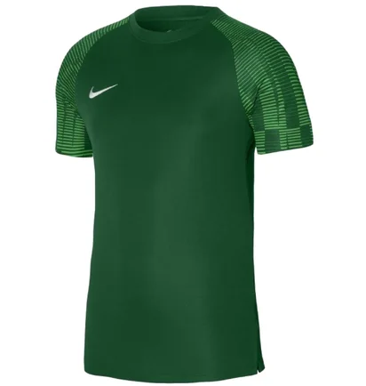 Футболка мужская Nike Jersey Dri-Fit Academy Green DH8031-302