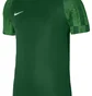 Футболка мужская Nike Jersey Dri-Fit Academy Green DH8031-302