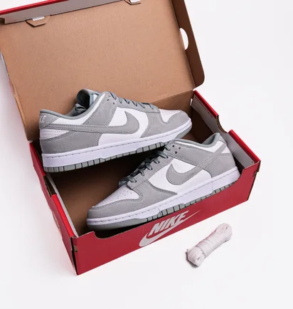 Кроссовки мужские Nike Dunk Low Retro Se Pumice Grey/White FQ8249-101