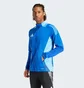 Олимпийка мужская Adidas Tiro 24 Competition Training Blue IP1876