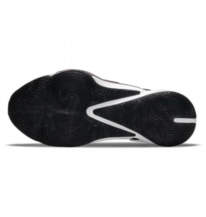 Кросівки унісекс Nike Zoom Freak 3 Giannis Black DA0694-001