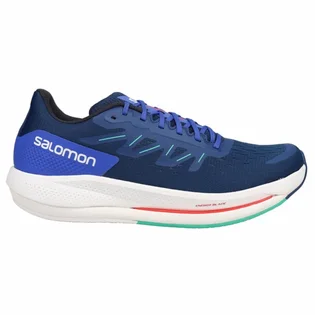 Кроссовки мужские Salomon Spectur Running Shoes Blue L41589900