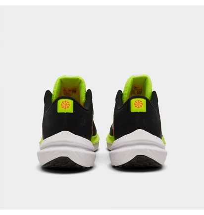 Кроссовки мужские Nike Winflo 10 Running Shoes Black FN6825-010