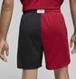 Шорти чоловічі Air Jordan M J Df Sprt Bc Mesh Gfx Short Red/Black Dm1815-687