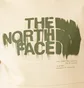 Худи мужское The North Face Graphic Hoodie Beige NF0A87ET3X4