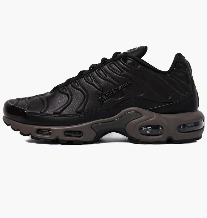 Кроссовки мужские Nike Air Max Plus Paris Lifestyle Shoe Black HJ4519-200