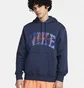 Худі чоловіче Nike Club Fleece Pullover Hoodie Blue FV4447-410