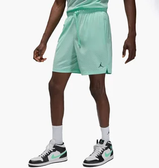 Шорти чоловічі Air Jordan M J Df Sprt Mesh Short Turquoise FN5816-353