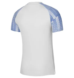 Футболка детская Nike Dri-Fit Academy White DH8369-102