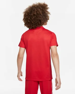 Футболка детская Nike Dri-Fit Academy 23 Red DR1343-657