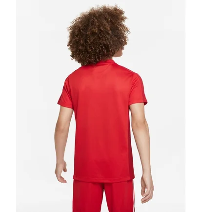 Футболка детская Nike Dri-Fit Academy 23 Red DR1343-657