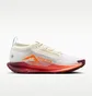 Кросівки жіночі Nike Pegasus Trail 5 Gtx White FQ0912-104