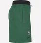 Шорты мужские Nike Nba Boston Celtics Courtside 75 Green DB1942-312