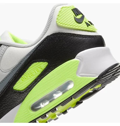 Кросівки чоловічі Nike Air Max 90 Gtx Violet FD5810-102