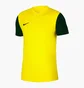 Футболка чоловіча Nike M Nk Df Tiempo Prem Ii Jsy Ss Yellow Dh8035-719