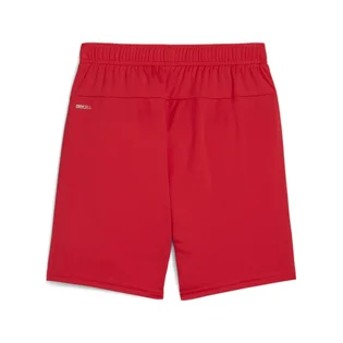 Шорти дитячі Puma Youth Team Goal Shorts Red 705753-01