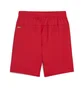 Шорты детские Puma Youth Team Goal Shorts Red 705753-01