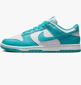 Кроссовки женские Nike Dunk Low Next Nature Blue/Turquoise DD1873-105