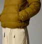 Пуховик мужской The North Face Hydrenalite Brown NF0A88XU1OB