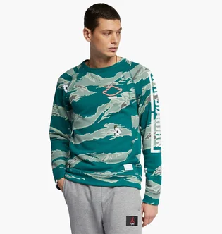 Свитшот мужской Air Jordan City Of Flight Fleece Crew Camo/Green Bq6845-010