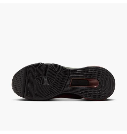 Кросівки жіночі Nike W Versair Brown DZ3547-200