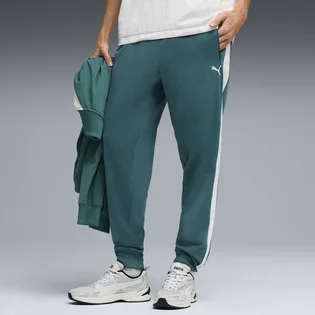 Штаны мужские Puma Ess T7 Poly Turquoise 692463-41