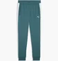 Штаны мужские Puma Ess T7 Poly Turquoise 692463-41