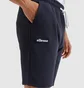 Шорты мужские Ellesse Noli Fleece Short Grey SHS01894-106