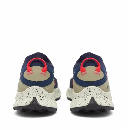 Кросівки чоловічі Nike Pegasus Trail 3 Gore-Tex Blue DC8793-401
