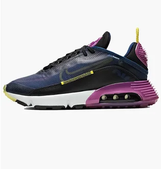 Кроссовки женские Nike Air Max 2090 Black/Pink CK2612-400