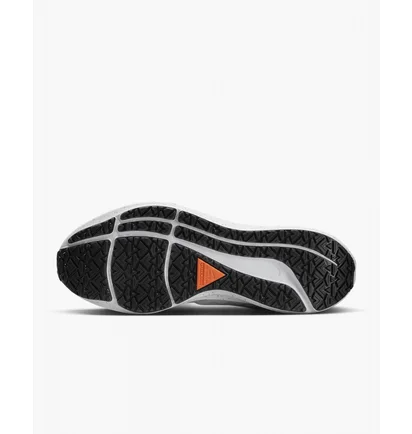 Кросівки жіночі Nike Air Zoom Pegasus 39 Shield Beige Do7626-004