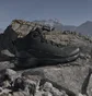 Кросівки чоловічі Adidas Terrex Skychaser Ax5 Mid Gtx Black JQ2207