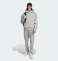 Штаны мужские Adidas All Szn Fleece Regular Fit Grey IY4148