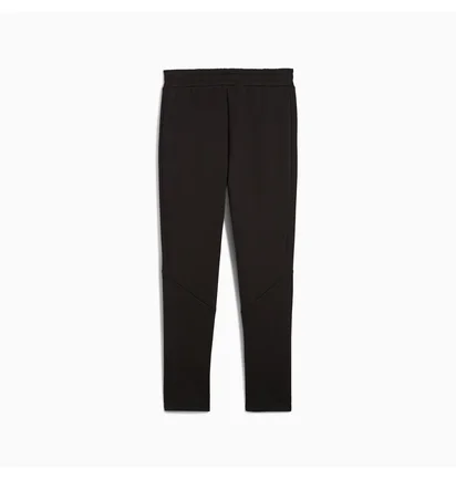 Штани чоловічі Puma Evostripe Core Pants Men Black 631533-01