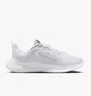 Кроссовки женские Nike Flex Experience Run 12 Road Running Shoes Grey DV0746-100