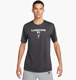 Футболка мужская Nike Sw Premium Essential Grey FQ6582-060