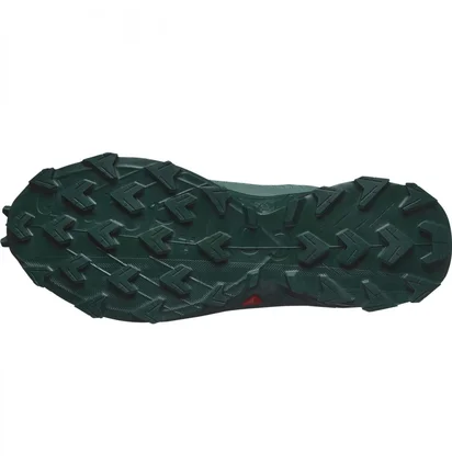 Кросівки жіночі Salomon Alphacross 5 Gtx Blue L47595000