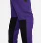 Штаны мужские Nike Tech Fleece Joggers Violet HF4433-504