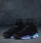 Кроссовки мужские Air Jordan 6 Retro Black CT8529-004