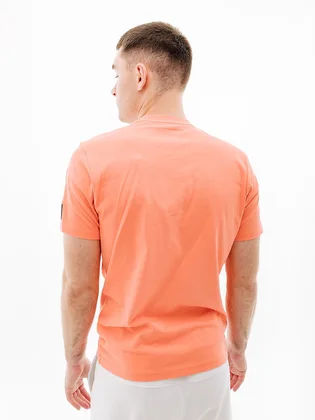 Футболка мужская Helly Hansen Rwb Graphic T-Shirt Orange 53763-284