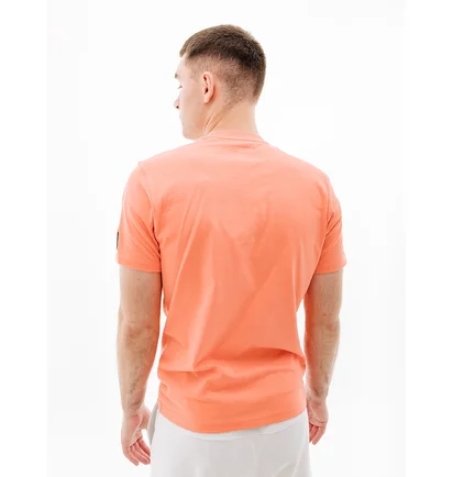 Футболка мужская Helly Hansen Rwb Graphic T-Shirt Orange 53763-284