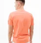 Футболка мужская Helly Hansen Rwb Graphic T-Shirt Orange 53763-284