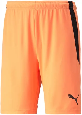 Шорти чоловічі Puma Teamliga Shorts Orange 704924-21