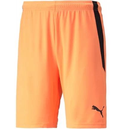 Шорти чоловічі Puma Teamliga Shorts Orange 704924-21