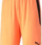 Шорти чоловічі Puma Teamliga Shorts Orange 704924-21