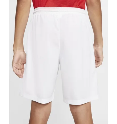Шорты детские Nike Y Nk Df Park Iii Short Nb K White BV6865-100