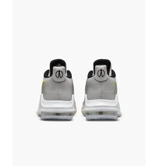 Кроссовки унисекс Nike Basketball Shoe Grey DC3725-007